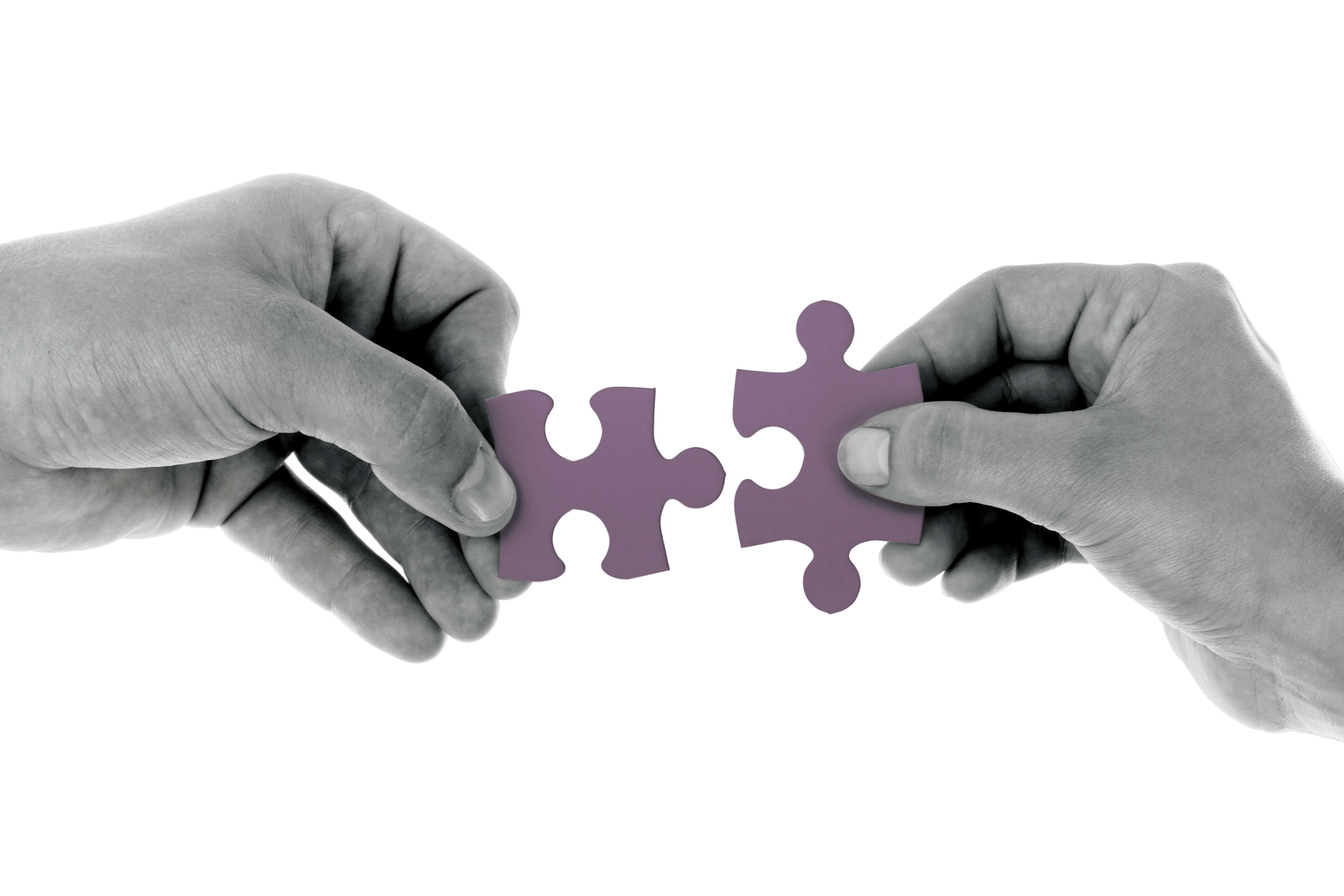 investment-and-partnership